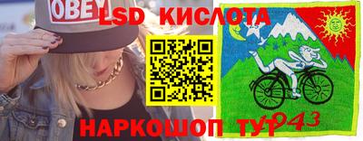 ешки Новодвинск