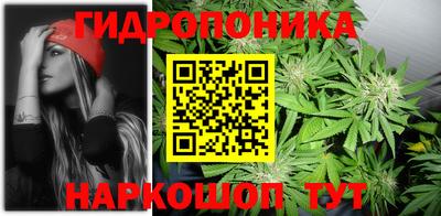 ГАЛЛЮЦИНОГЕННЫЕ ГРИБЫ Новокубанск