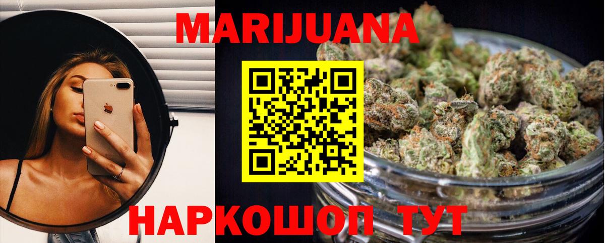 Конопля сатива Амурск